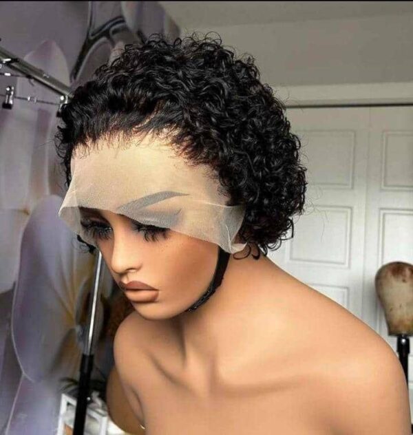 Double Drawn Wig Temmy - rachycollection.com